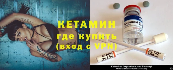 сатива Балахна