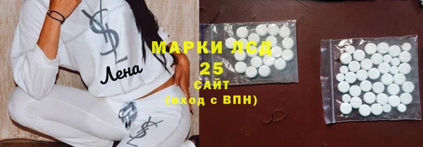индика Балабаново