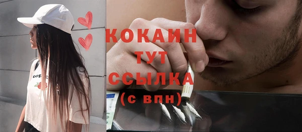 индика Балабаново