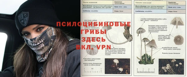 прущая мука Белокуриха